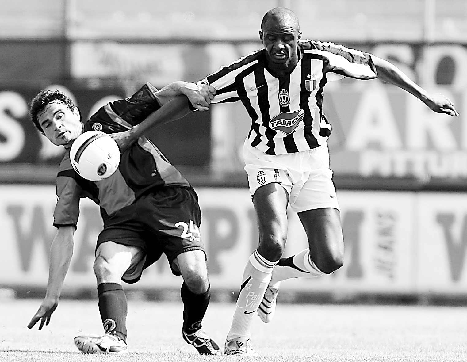 了来自亚洲 了来自亚洲